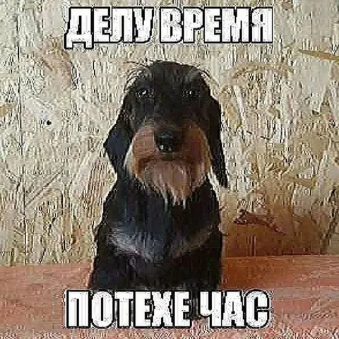 Егор Сямтомов
