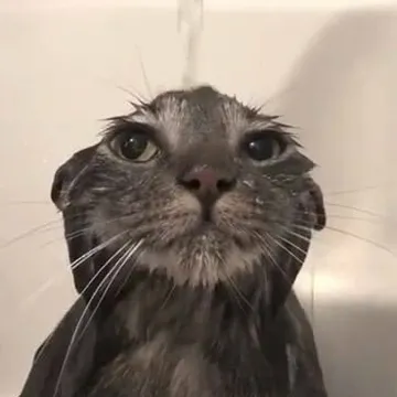 Илья Пислегов