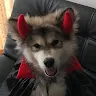 Kylo