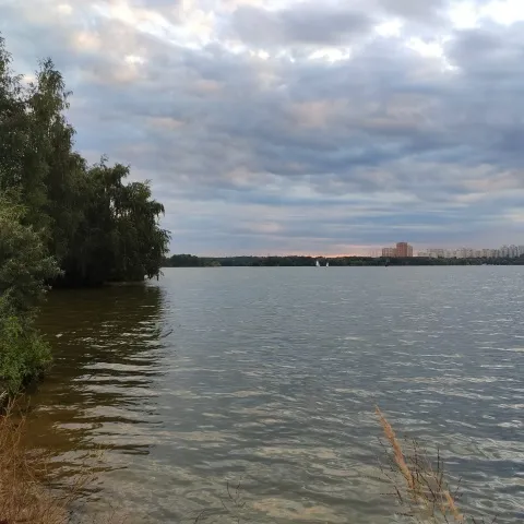 Даник Драник