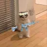 Typorarb Typorarb