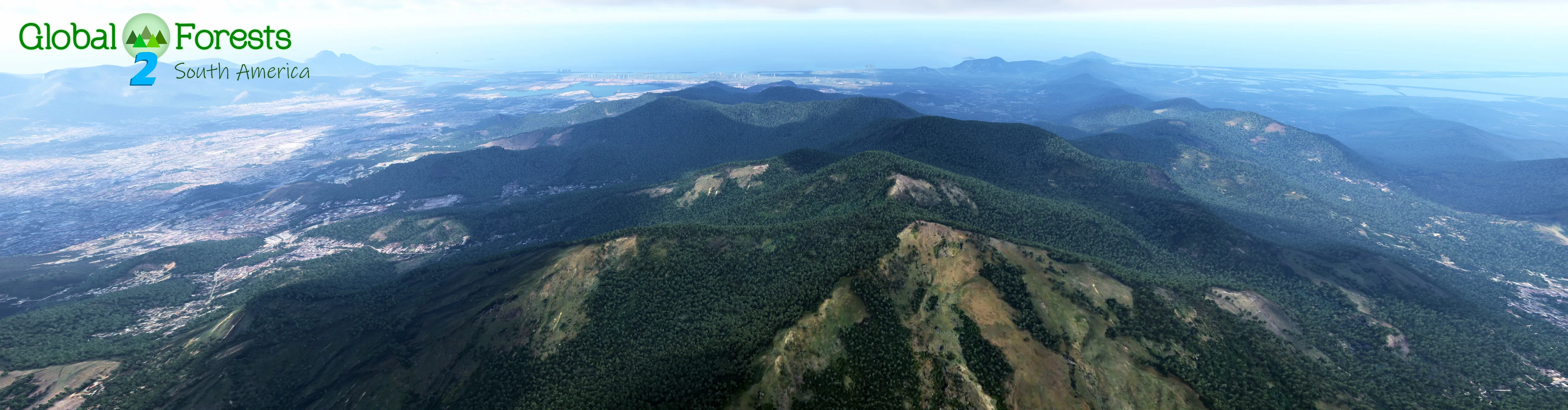 Global Forests v2.2