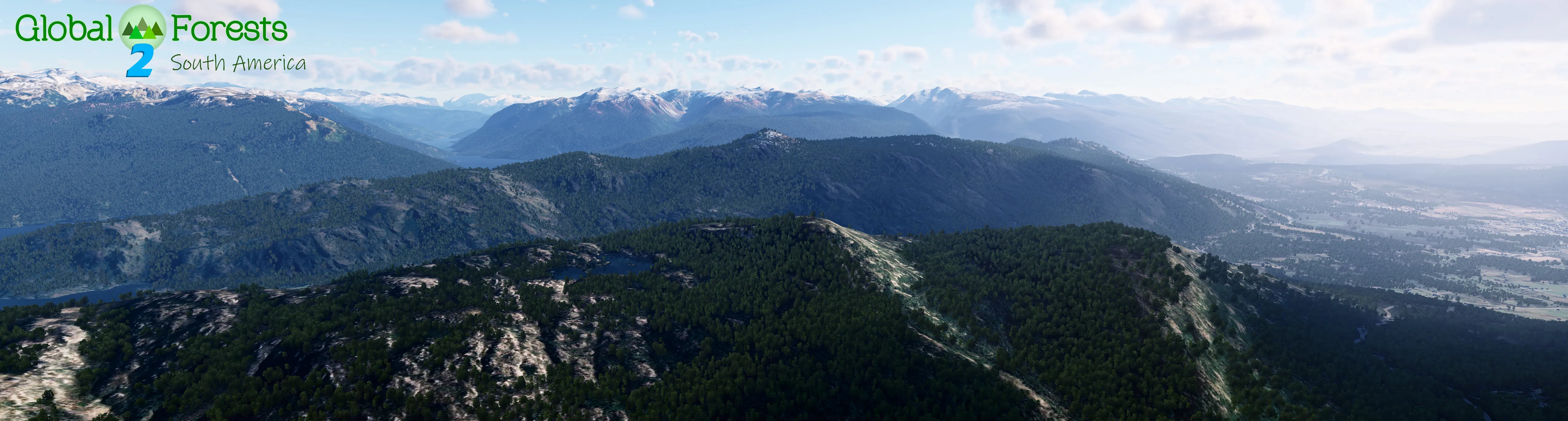 Global Forests v2.2