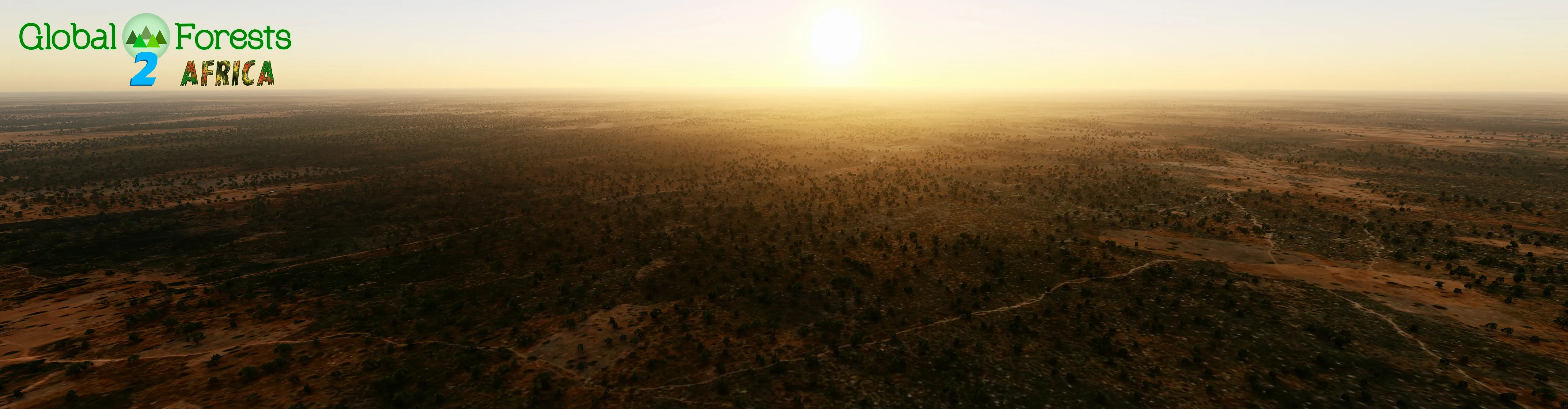 Global Forests v2.2