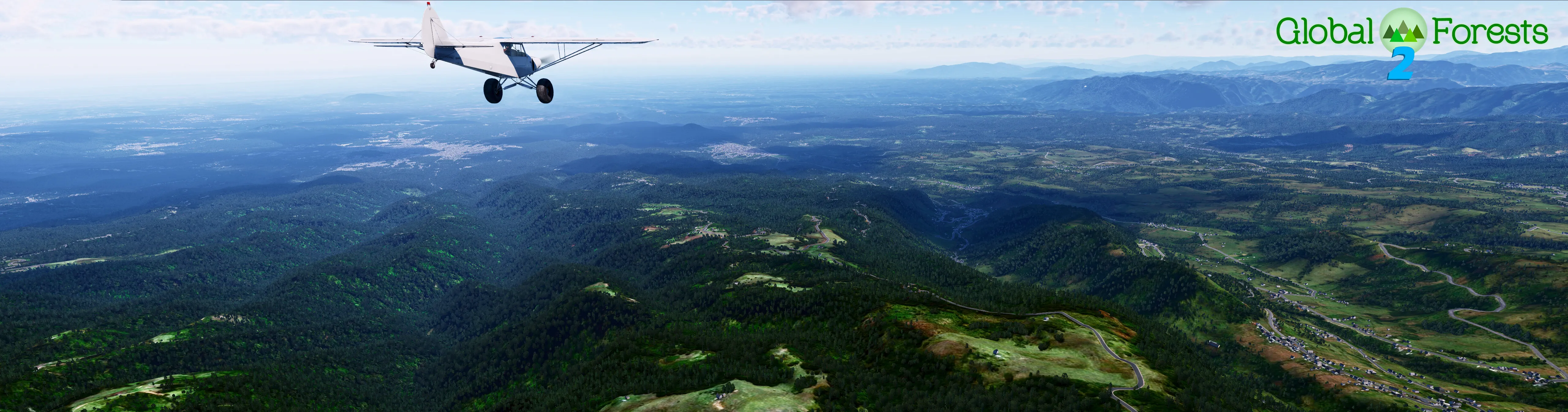 Global Forests v2.2