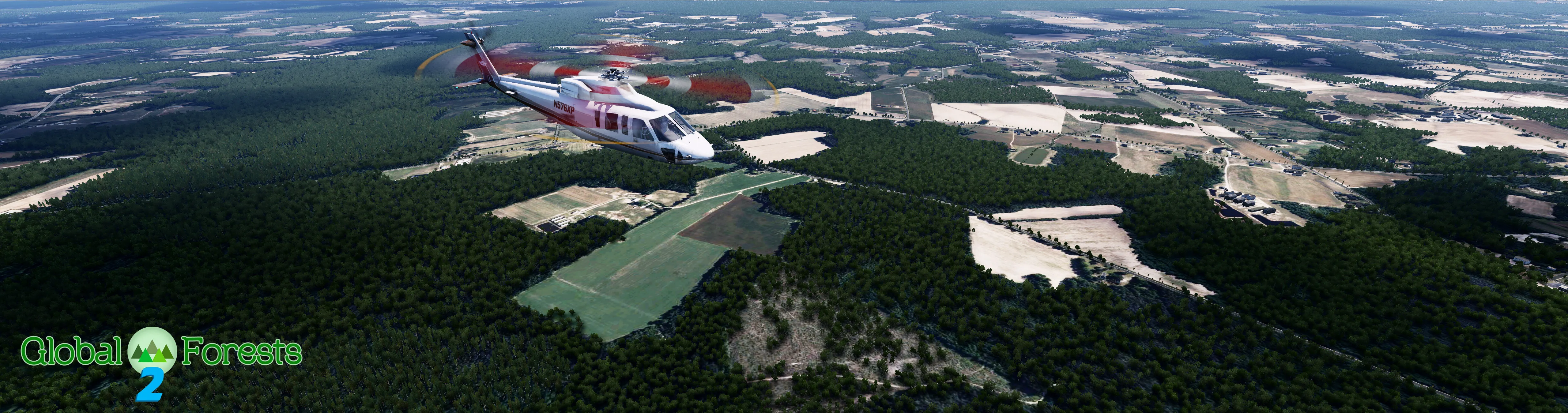 Global Forests v2.2