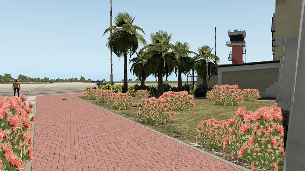 Аэропорт TNCB ( Бонайре, Нидерланды )