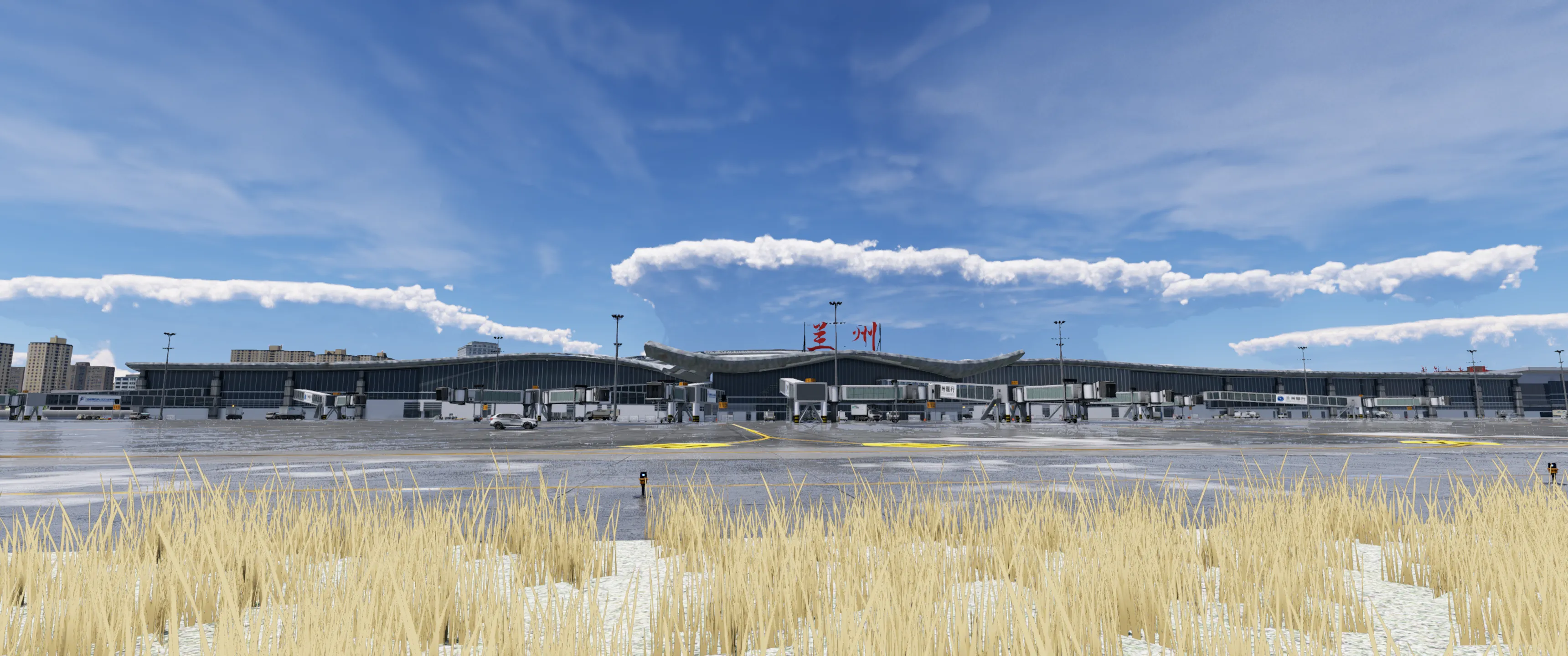 Аэропорт ZLLL ( Ланьчжоу, Китай )