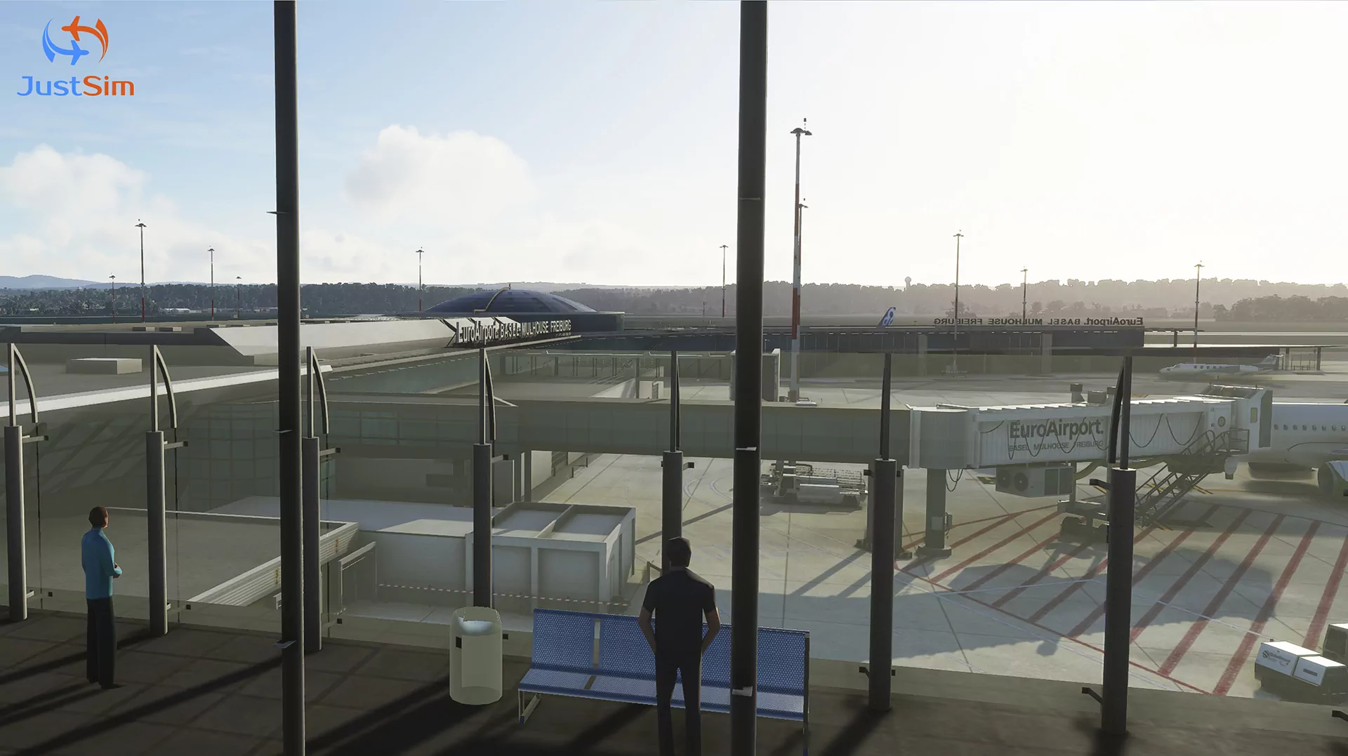 Аэропорт LFSB ( Базель, Франция )