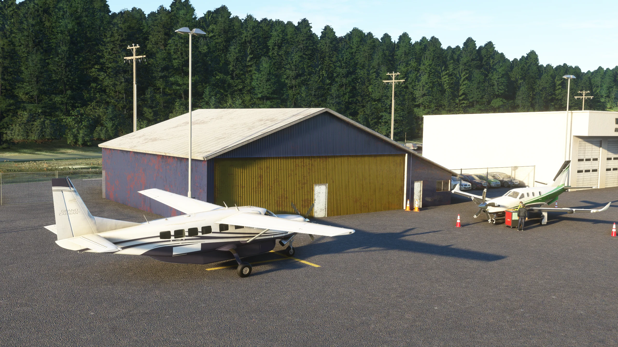 Аэропорт PAWG ( Врангель, США )