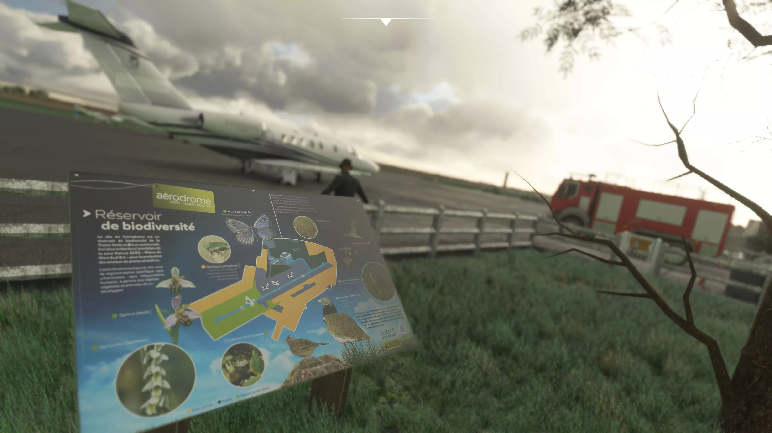 Аэродром LFBN ( Ньор, Франция )