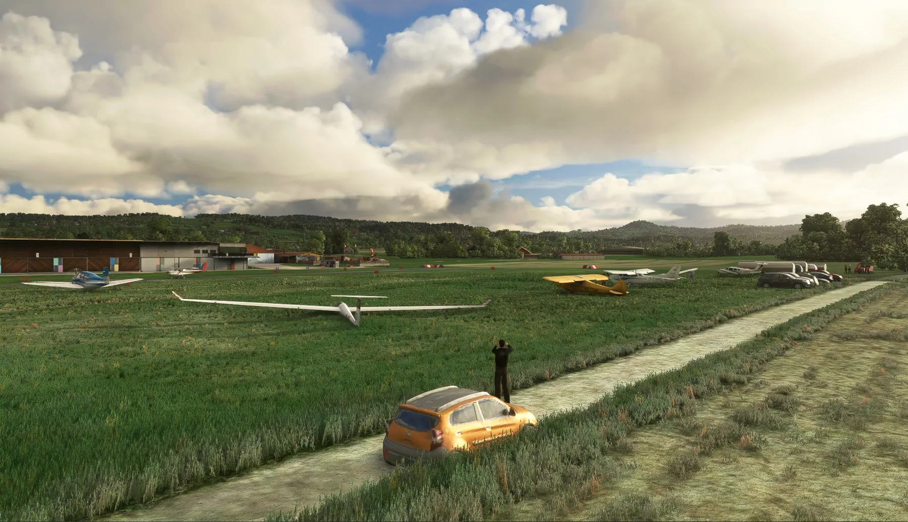 Аэродром LSZK ( Шпек, Швейцария )