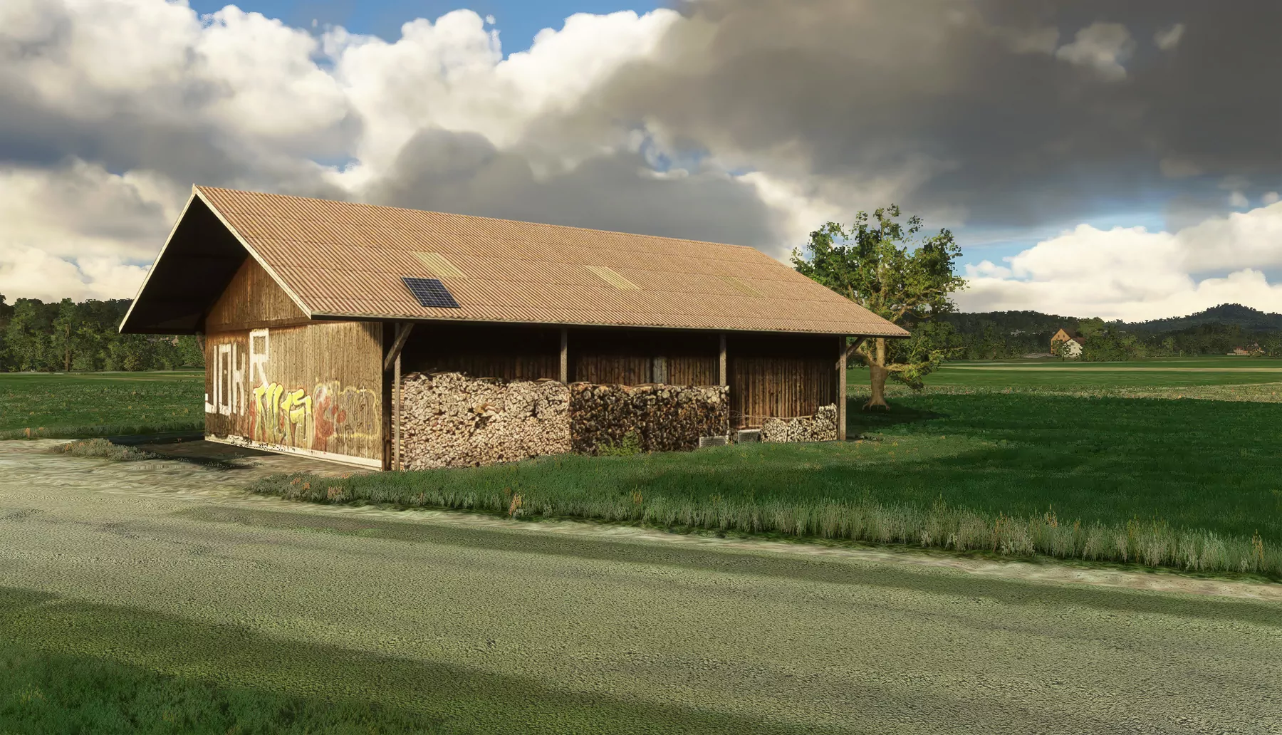 Аэродром LSZK ( Шпек, Швейцария )