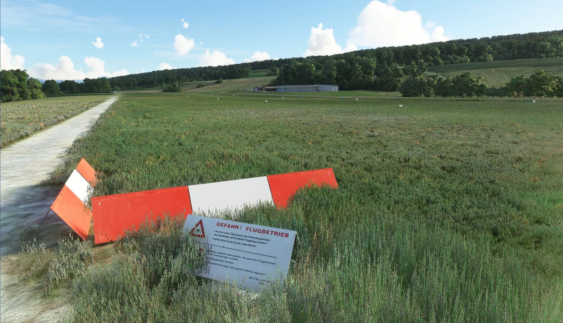 Аэропорт LSZU ( Буттвиль, Швейцария )