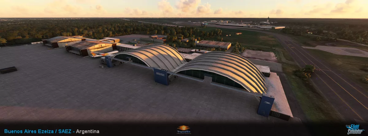 Аэропорт SAEZ ( Эсейса, Аргентина )
