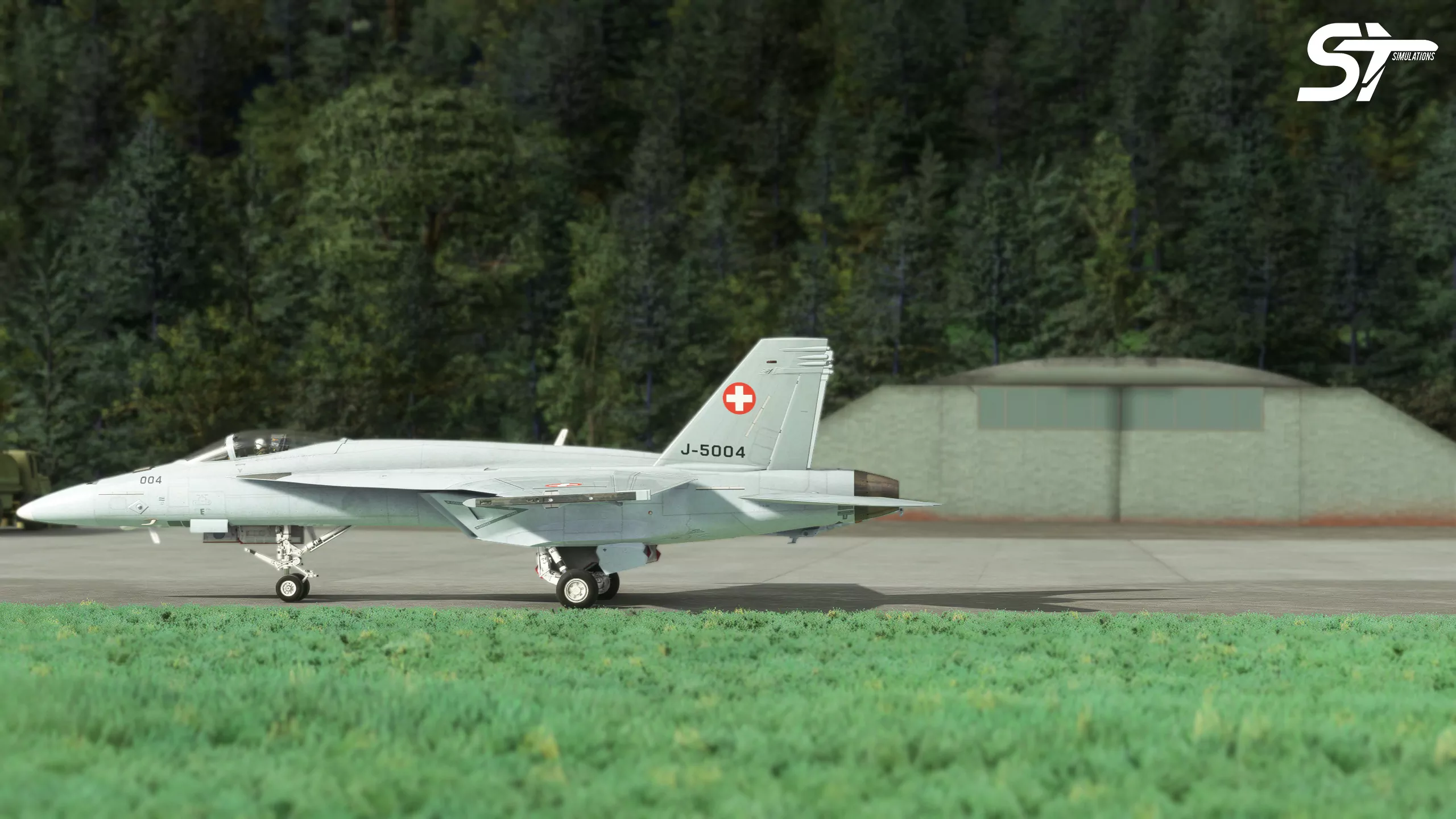 Аэродром LSTS ( Санкт-Штрефн, Швейцария )