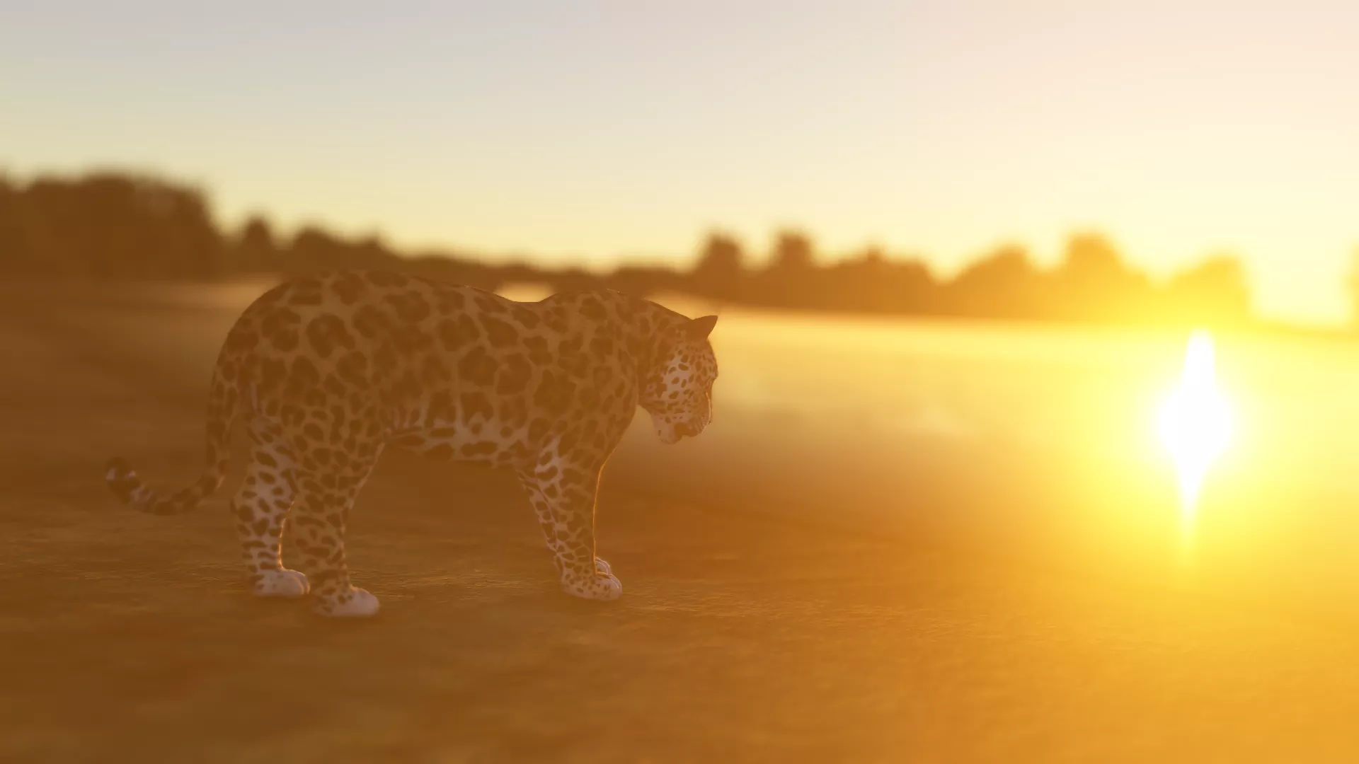 Аэродром SNIH ( Рио-Негро,