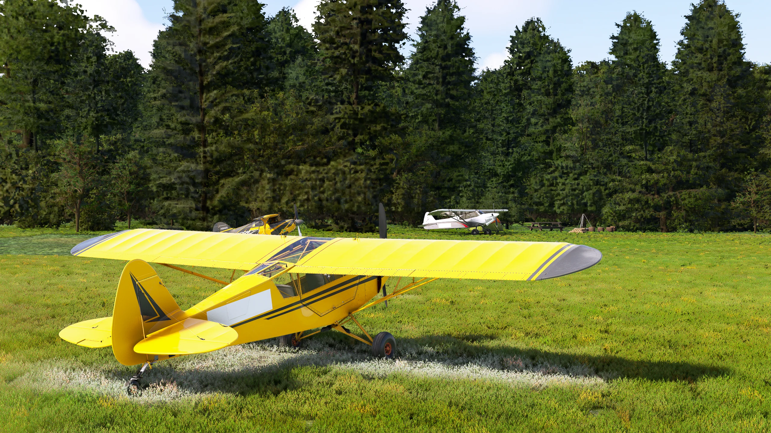 Аэродромы 3MI2 и 6Y3 ( Северный и Южный Фокс, США )