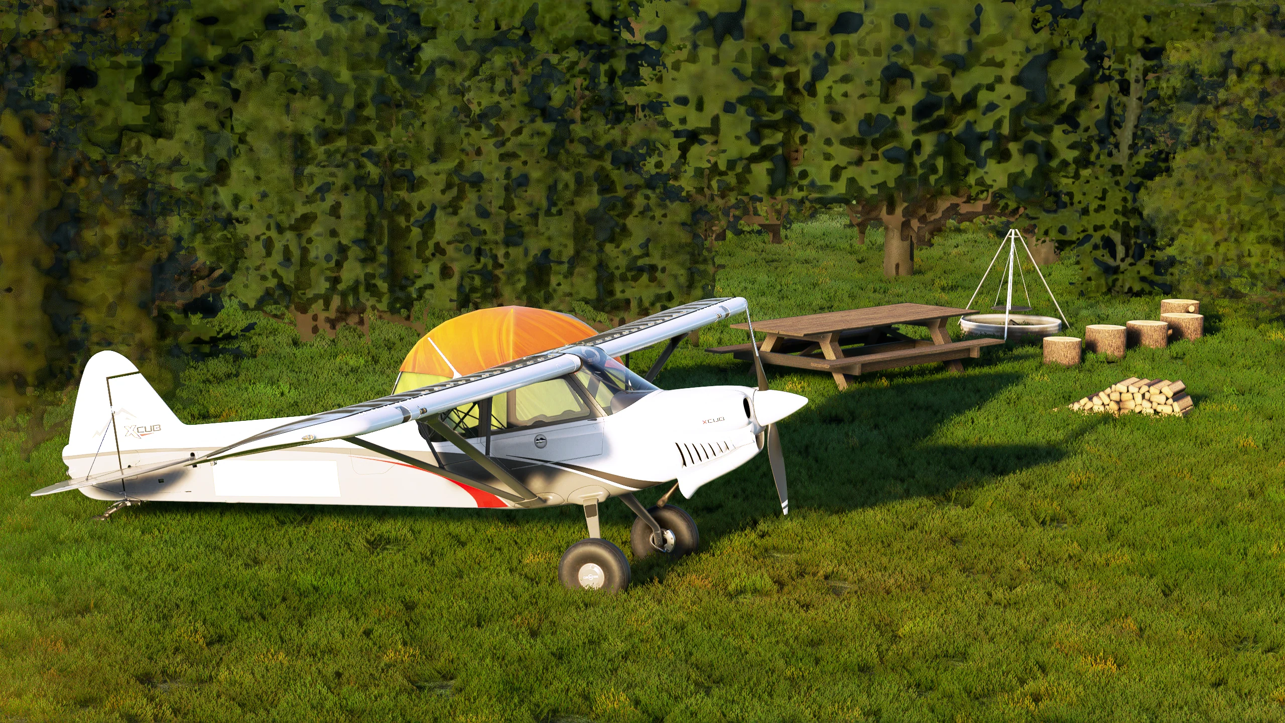 Аэродромы 3MI2 и 6Y3 ( Северный и Южный Фокс, США )