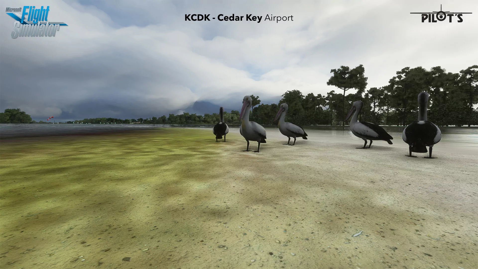 Аэропорт KCDK ( Сидар-Ки, США )