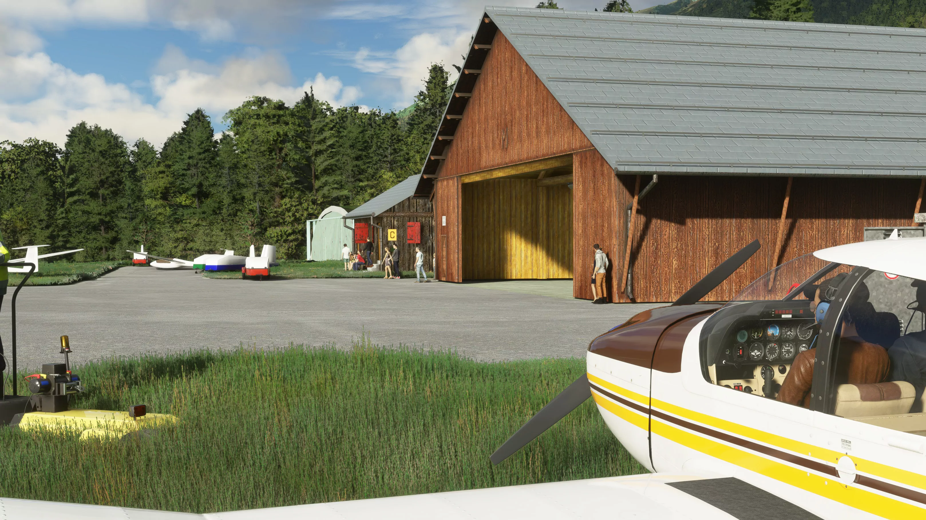 Аэродром LSPU ( Мюнстер, Швейцария )