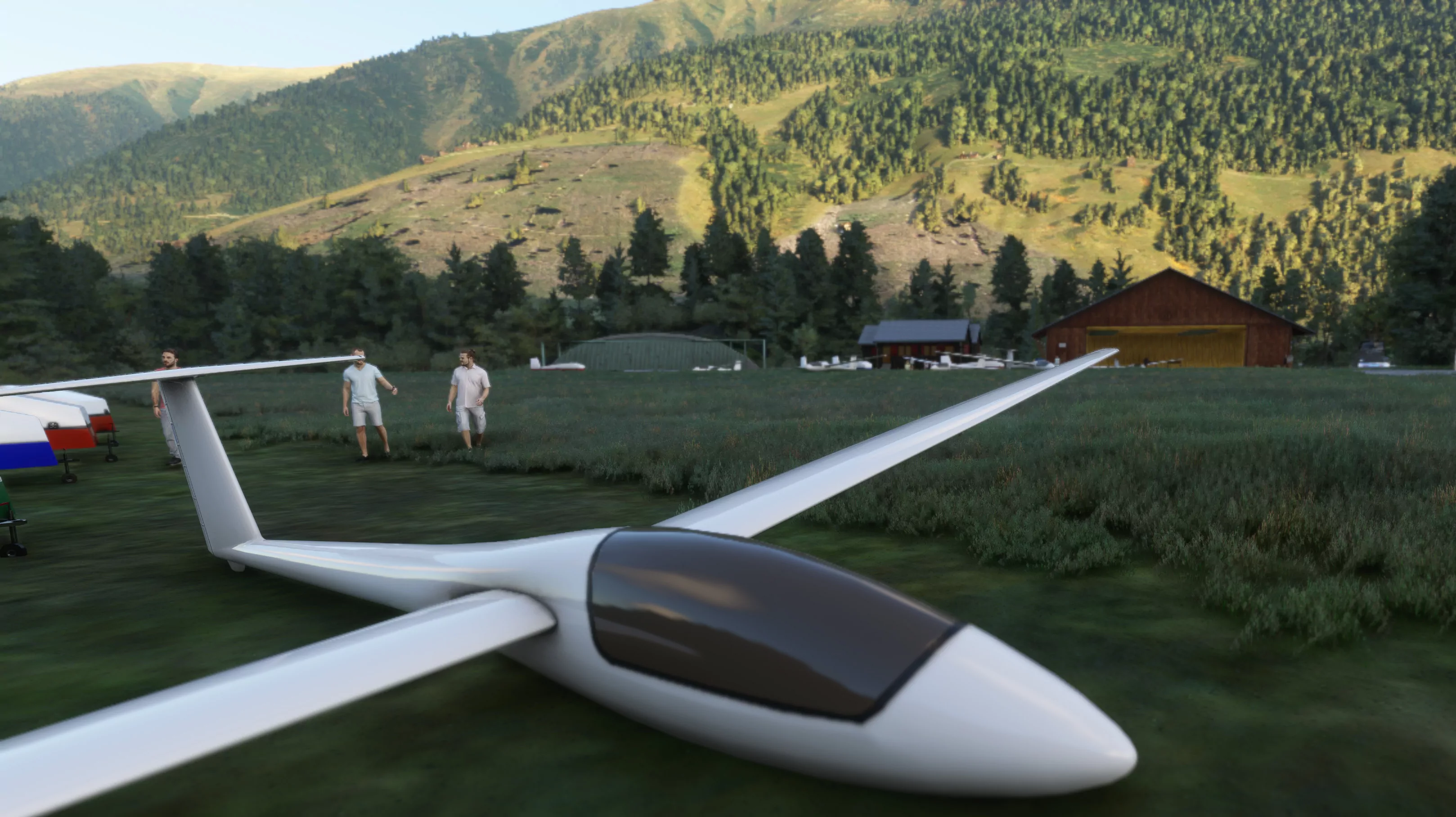 Аэродром LSPU ( Мюнстер, Швейцария )