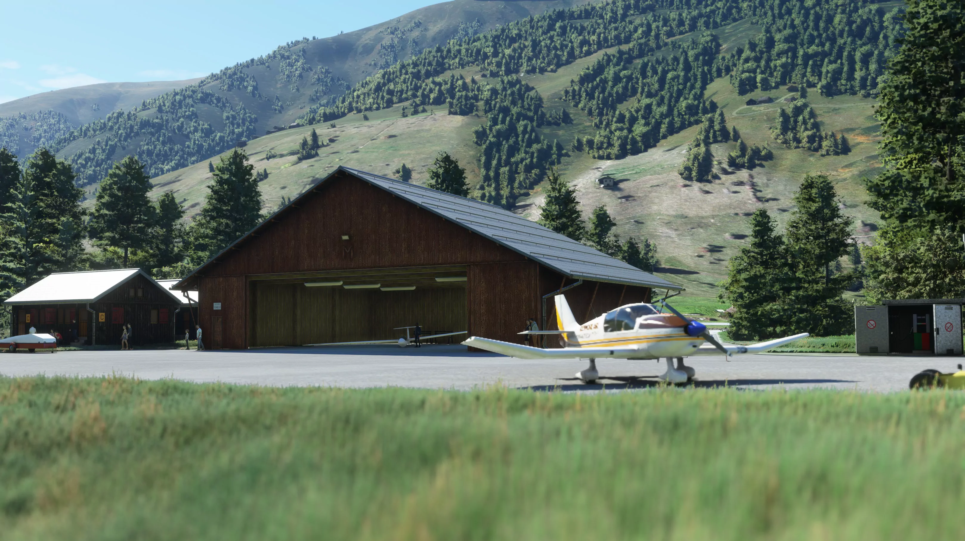 Аэродром LSPU ( Мюнстер, Швейцария )