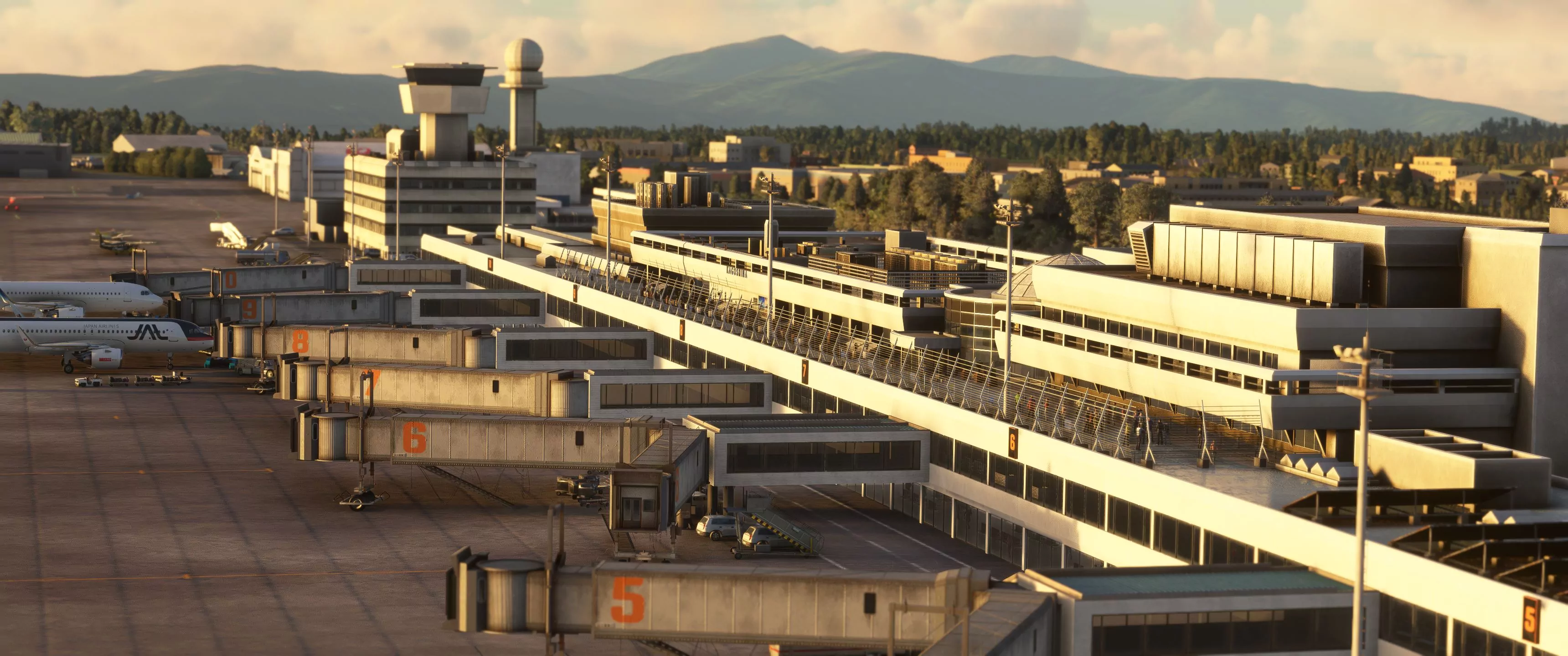 Аэропорт RJFK ( Кирисима, Япония )