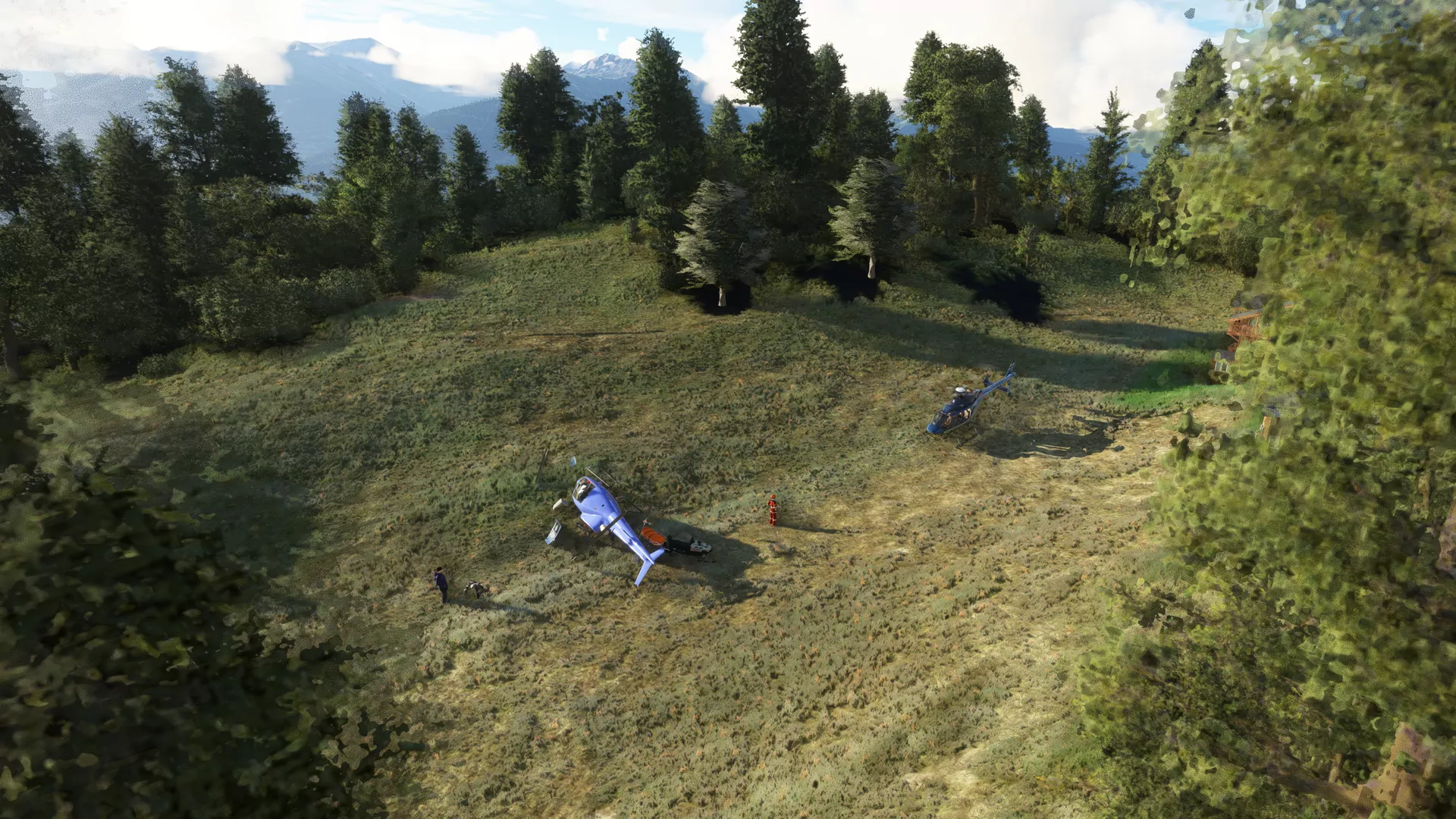 Вертодром LSHS ( Сьон, Швейцария )