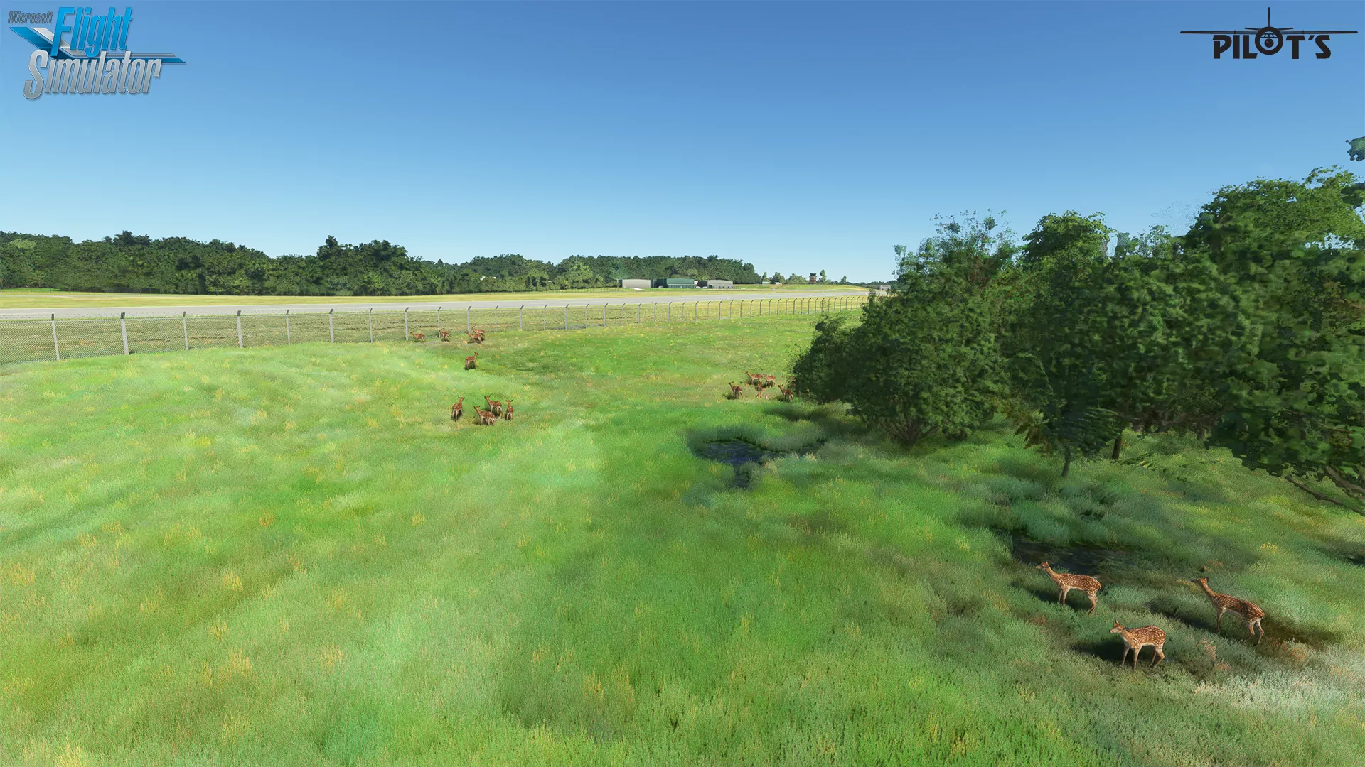 Аэропорт KLYH ( Линчберг, США )