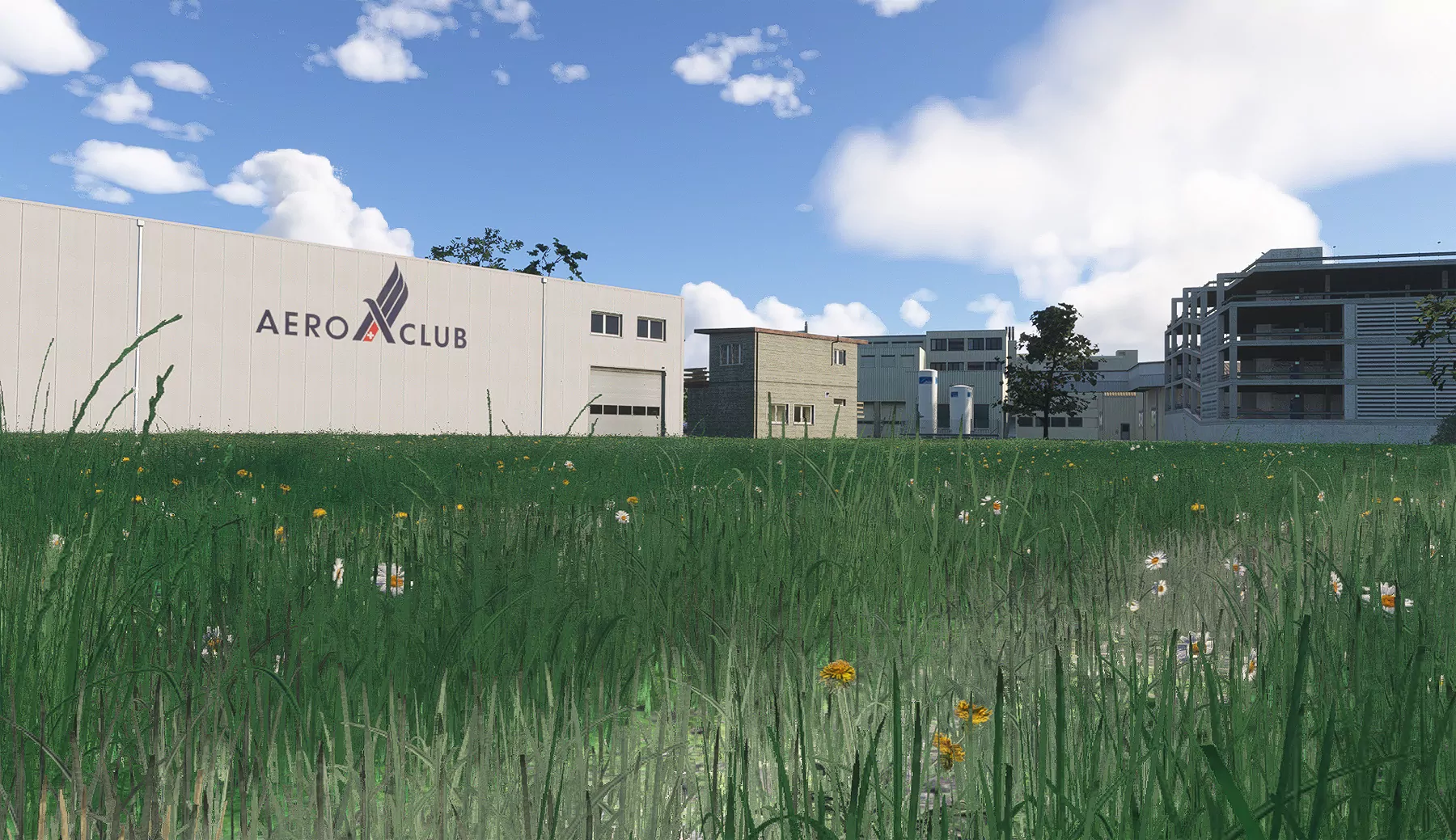 Аэродром LSPL ( Лангенталь, Швейцария )